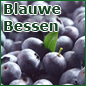 Blauwe bessen