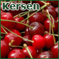 Kersen